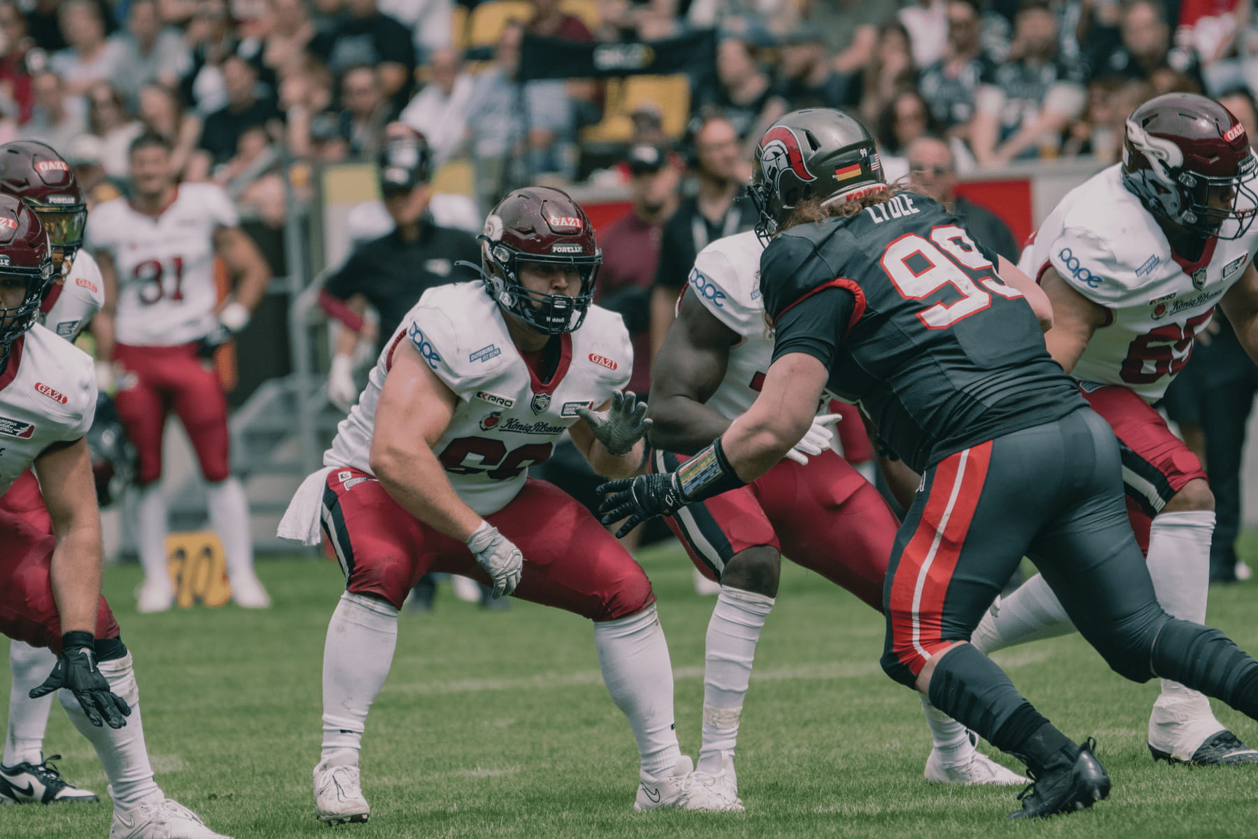 David Weinstock – Founder Apex Performance